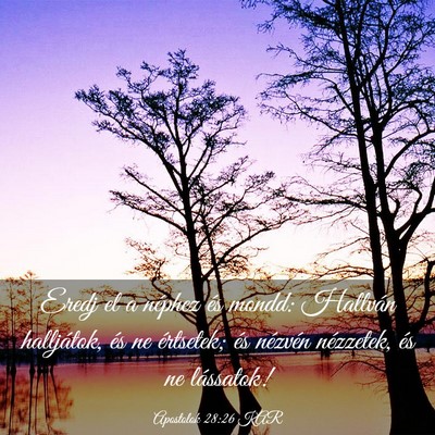 Picture 03 - Apostolok 28:26 KAR - Eredj el a néphez és mondd: Hallván - Bible Verse Picture