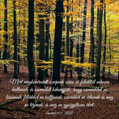 Picture 03 - Apostolok 28:27 KAR - Mert megkövéredett e népnek szíve, és - Bible Verse Picture