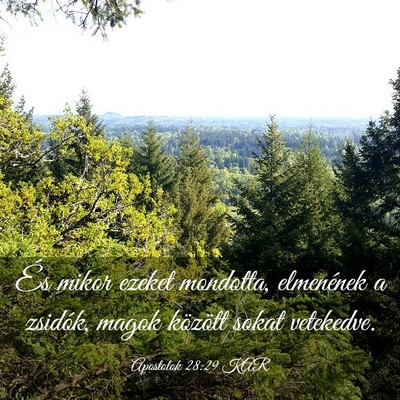 Picture 03 - Apostolok 28:29 KAR - És mikor ezeket mondotta, elmenének a zsidók, - Bible Verse Picture