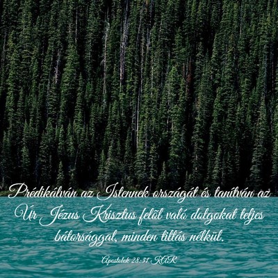 Picture 03 - Apostolok 28:31 KAR - Prédikálván az Istennek országát és - Bible Verse Picture