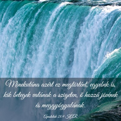 Picture 03 - Apostolok 28:9 KAR - Minekutána azért ez megtörtént, egyebek is, - Bible Verse Picture