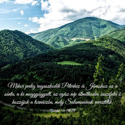 Picture 03 - Apostolok 3:11 KAR - Mikor pedig ragaszkodék Péterhez és Jánoshoz - Bible Verse Picture