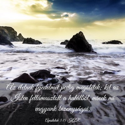 Picture 03 - Apostolok 3:15 KAR - Az életnek fejedelmét pedig megölétek; kit az - Bible Verse Picture