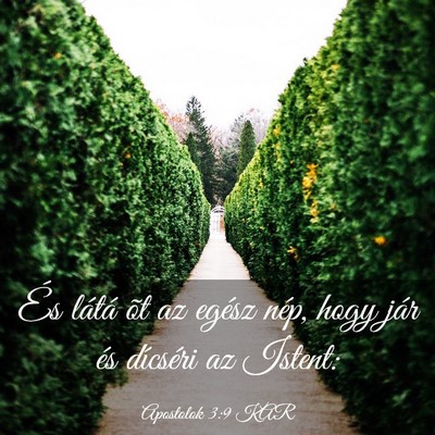 Picture 03 - Apostolok 3:9 KAR - És látá õt az egész nép, hogy jár és - Bible Verse Picture