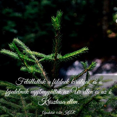 Picture 03 - Apostolok 4:26 KAR - Felállottak a földnek királyai, és a - Bible Verse Picture