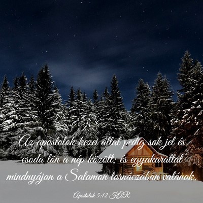 Picture 03 - Apostolok 5:12 KAR - Az apostolok kezei által pedig sok jel és csoda - Bible Verse Picture
