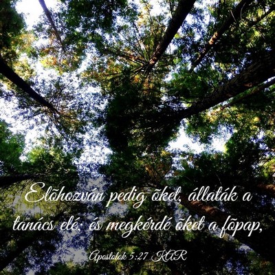 Picture 03 - Apostolok 5:27 KAR - Elõhozván pedig õket, állaták a tanács - Bible Verse Picture