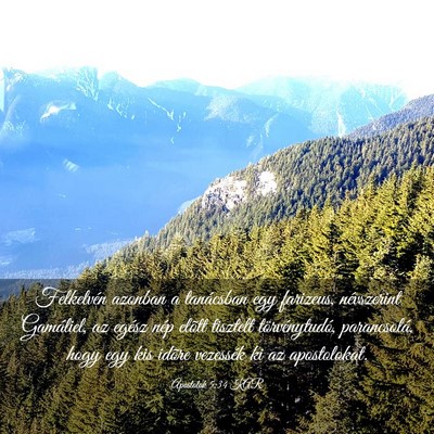 Picture 03 - Apostolok 5:34 KAR - Felkelvén azonban a tanácsban egy farizeus, - Bible Verse Picture
