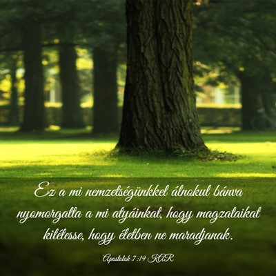 Picture 03 - Apostolok 7:19 KAR - Ez a mi nemzetségünkkel álnokul bánva - Bible Verse Picture