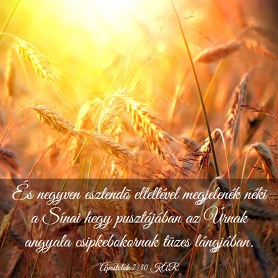 Picture 03 - Apostolok 7:30 KAR - És negyven esztendõ elteltével megjelenék - Bible Verse Picture