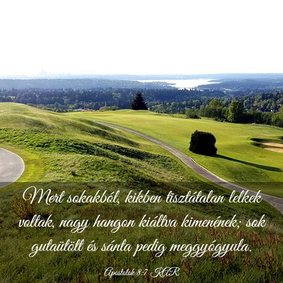 Picture 03 - Apostolok 8:7 KAR - Mert sokakból, kikben tisztátalan lelkek - Bible Verse Picture