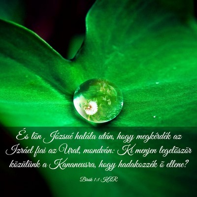 Picture 03 - Bírák 1:1 KAR - És lõn Józsué halála után, hogy megkérdék - Bible Verse Picture