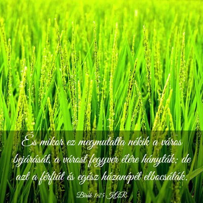 Picture 03 - Bírák 1:25 KAR - És mikor ez megmutatta nékik a város - Bible Verse Picture