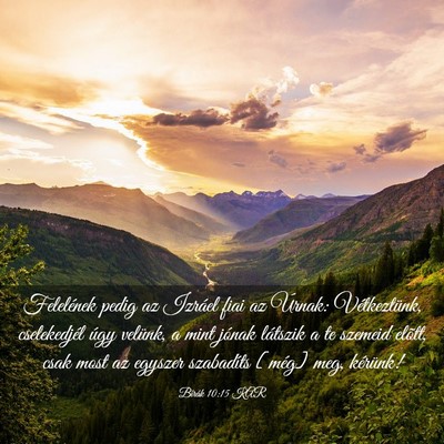 Picture 03 - Bírák 10:15 KAR - Felelének pedig az Izráel fiai az Úrnak: - Bible Verse Picture