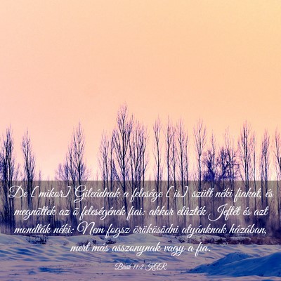 Picture 03 - Bírák 11:2 KAR - De [mikor] Gileádnak a felesége [is] szült - Bible Verse Picture