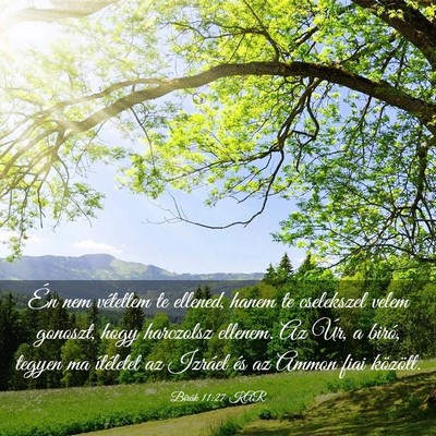 Picture 03 - Bírák 11:27 KAR - Én nem vétettem te ellened, hanem te cselekszel - Bible Verse Picture