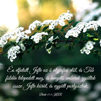 Picture 03 - Bírák 11:3 KAR - És elfutott Jefte az õ atyjafiai elõl, és - Bible Verse Picture