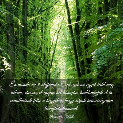 Picture 03 - Bírák 11:37 KAR - És monda az õ atyjának: Csak azt az egyet tedd - Bible Verse Picture