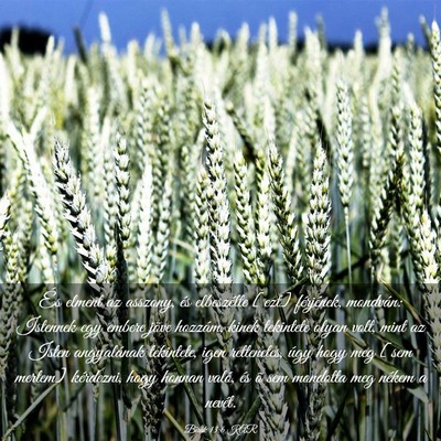 Picture 03 - Bírák 13:6 KAR - És elment az asszony, és elbeszélte [ezt] - Bible Verse Picture