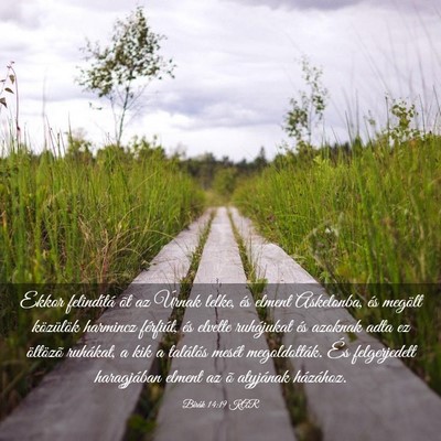 Picture 03 - Bírák 14:19 KAR - Ekkor felindítá õt az Úrnak lelke, és elment - Bible Verse Picture