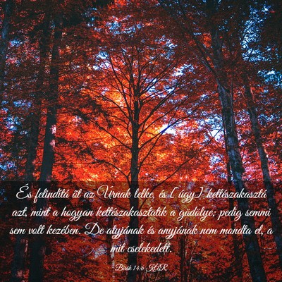 Picture 03 - Bírák 14:6 KAR - És felindítá õt az Úrnak lelke, és [úgy] - Bible Verse Picture