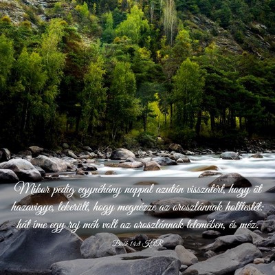 Picture 03 - Bírák 14:8 KAR - Mikor pedig egynéhány nappal azután - Bible Verse Picture
