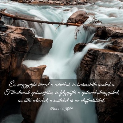 Picture 03 - Bírák 15:5 KAR - És meggyújtá tûzzel a csóvákat, és - Bible Verse Picture
