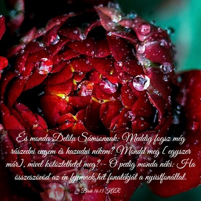 Picture 03 - Bírák 16:13 KAR - És monda Delila Sámsonnak: Meddig fogsz még - Bible Verse Picture