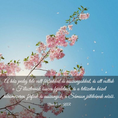 Picture 03 - Bírák 16:27 KAR - A ház pedig tele volt férfiakkal és - Bible Verse Picture
