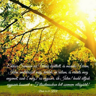 Picture 03 - Bírák 16:28 KAR - Ekkor Sámson az Úrhoz kiáltott, és monda: - Bible Verse Picture