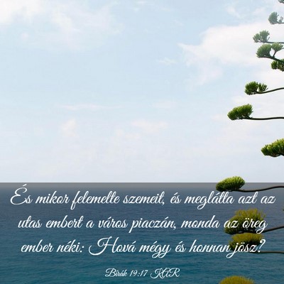 Picture 03 - Bírák 19:17 KAR - És mikor felemelte szemeit, és meglátta azt az - Bible Verse Picture