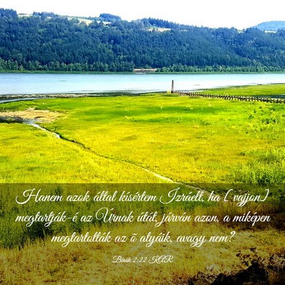 Picture 03 - Bírák 2:22 KAR - Hanem azok által kísértem Izráelt, ha - Bible Verse Picture