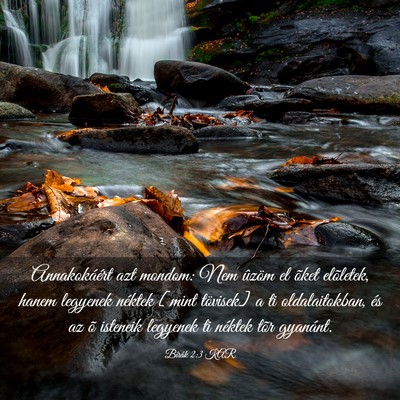Picture 03 - Bírák 2:3 KAR - Annakokáért azt mondom: Nem ûzöm el õket - Bible Verse Picture