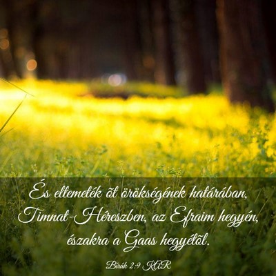 Picture 03 - Bírák 2:9 KAR - És eltemeték õt örökségének határában, - Bible Verse Picture
