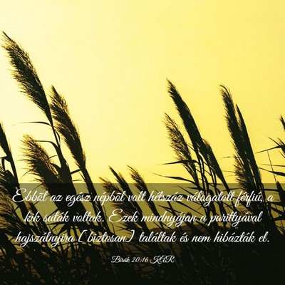 Picture 03 - Bírák 20:16 KAR - Ebbõl az egész népbõl volt hétszáz - Bible Verse Picture