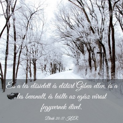 Picture 03 - Bírák 20:37 KAR - És a les elõsietett és elõtört Gibea ellen, - Bible Verse Picture