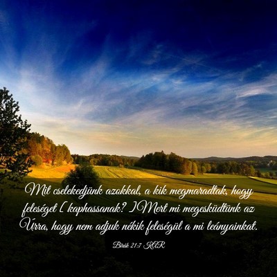 Picture 03 - Bírák 21:7 KAR - Mit cselekedjünk azokkal, a kik megmaradtak, - Bible Verse Picture