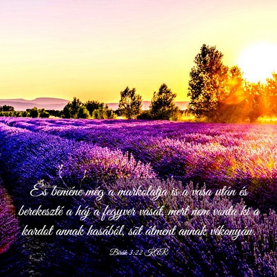 Picture 03 - Bírák 3:22 KAR - És beméne még a markolatja is a vasa után és - Bible Verse Picture