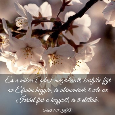 Picture 03 - Bírák 3:27 KAR - És a mikor [oda] megérkezett, kürtjébe fújt - Bible Verse Picture