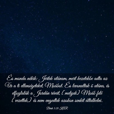 Picture 03 - Bírák 3:28 KAR - És monda nékik: Jertek utánam, mert kezetekbe - Bible Verse Picture