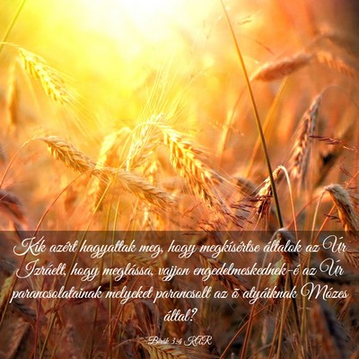 Picture 03 - Bírák 3:4 KAR - Kik azért hagyattak meg, hogy megkísértse - Bible Verse Picture