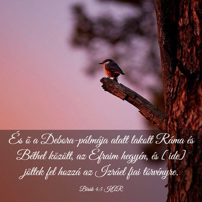 Picture 03 - Bírák 4:5 KAR - És õ a Debora-pálmája alatt lakott Ráma és - Bible Verse Picture