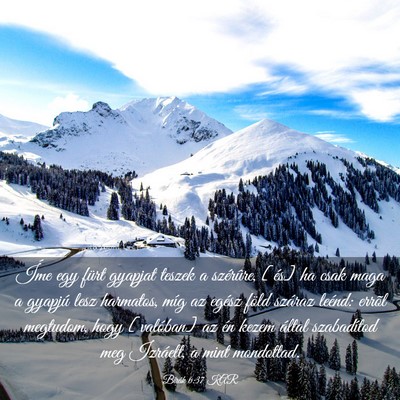 Picture 03 - Bírák 6:37 KAR - Íme egy fürt gyapjat teszek a szérûre, [és] - Bible Verse Picture