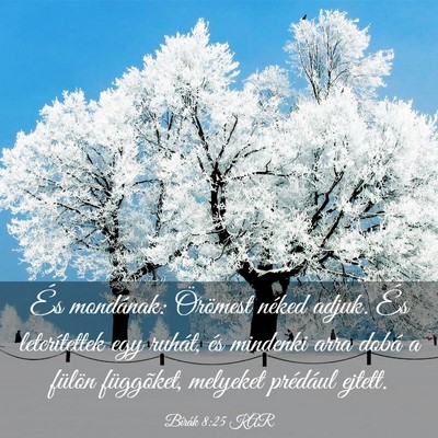 Picture 03 - Bírák 8:25 KAR - És mondának: Örömest néked adjuk. És - Bible Verse Picture