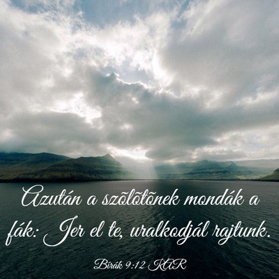 Picture 03 - Bírák 9:12 KAR - Azután a szõlõtõnek mondák a fák: Jer el - Bible Verse Picture
