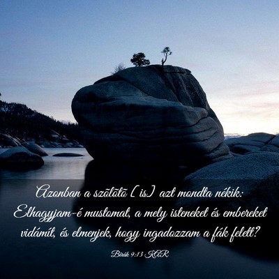 Picture 03 - Bírák 9:13 KAR - Azonban a szõlõtõ [is] azt mondta nékik: - Bible Verse Picture