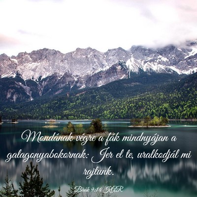 Picture 03 - Bírák 9:14 KAR - Mondának végre a fák mindnyájan a - Bible Verse Picture