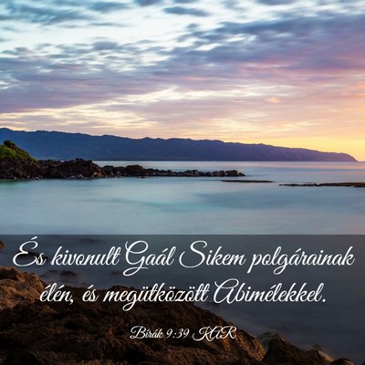 Picture 03 - Bírák 9:39 KAR - És kivonult Gaál Sikem polgárainak élén, és - Bible Verse Picture