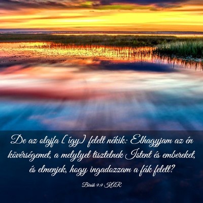 Picture 03 - Bírák 9:9 KAR - De az olajfa [így] felelt nékik: Elhagyjam az - Bible Verse Picture