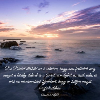 Picture 03 - Dániel 1:8 KAR - De Dániel eltökélé az õ szívében, hogy nem - Bible Verse Picture